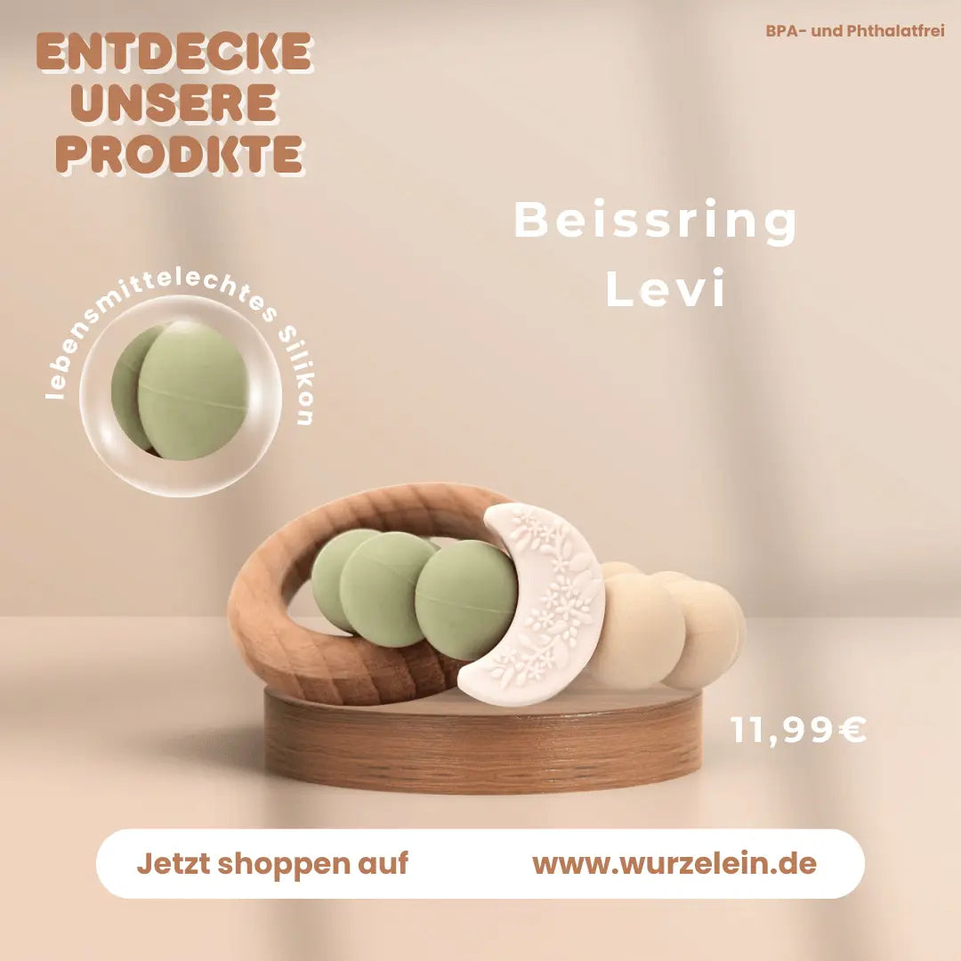 Produktvorstellung-Beissring-Levi-Wurzelein